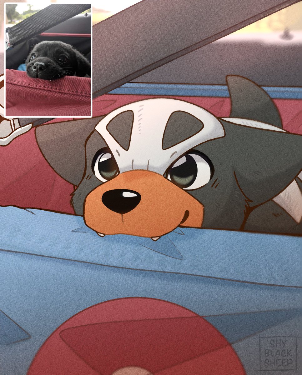 shyblacksheep's tweet image. “I said I wouldn’t get ANOTHER Pokédog… 
but… 🥺”
