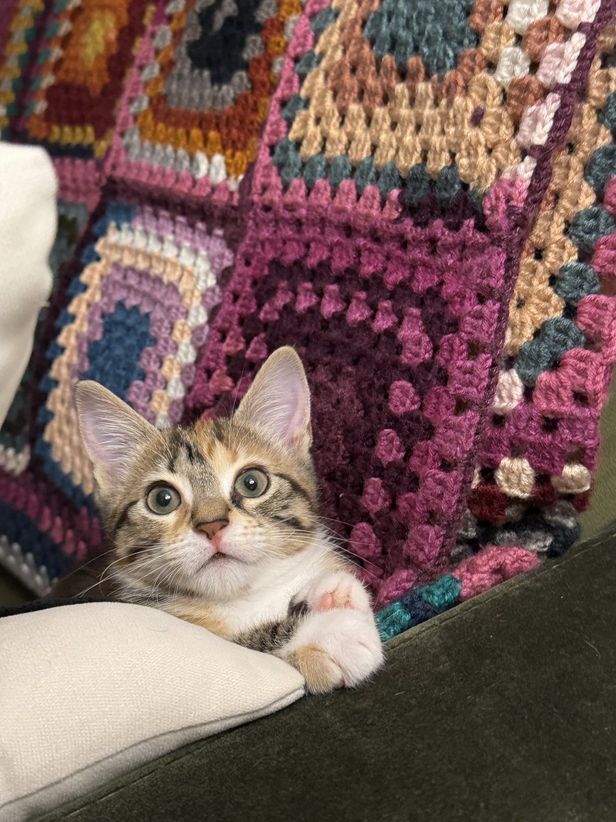 babymiaaax's tweet image. 