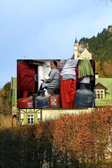 Killer Trees tweet media