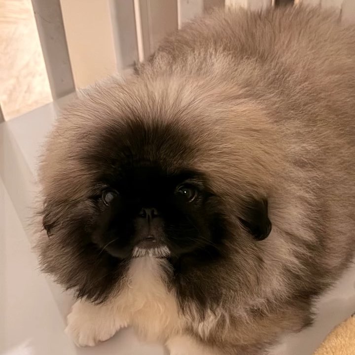 เหมือนกันเลยนิ