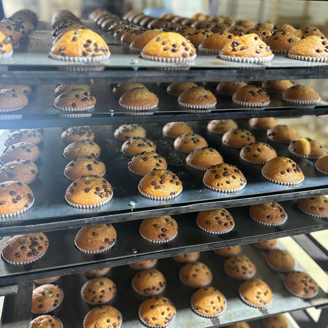 En Venta de Baños, municipio conocido principalmente por su importante historia ferroviaria, se encuentra Productos Alpe 😊

En este establecimiento pionero en la elaboración de quesadas, sobaos, magdalenas y roscones, encontrarás los manjares más dulces de la provincia 😋
.