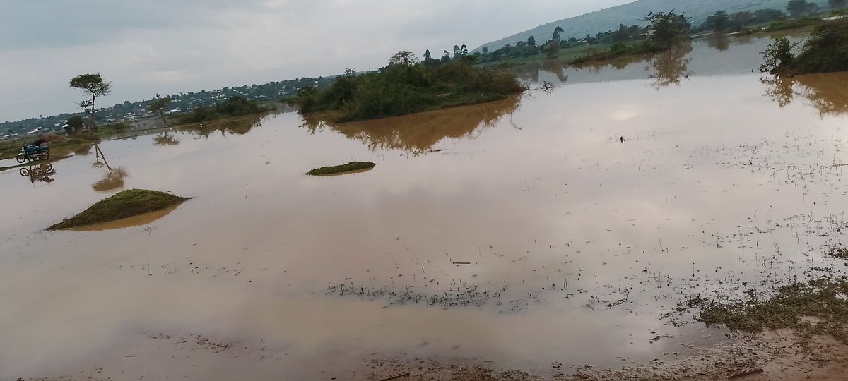 The effects of climate change are becoming impossible to ignore.
This place was completely dry not long ago—today it’s flooded. 🌧️
Unpredictable rains and extreme weather are putting our communities, farms, and daily life at risk.
We must take action now.  #ClimateChange  #ActNow