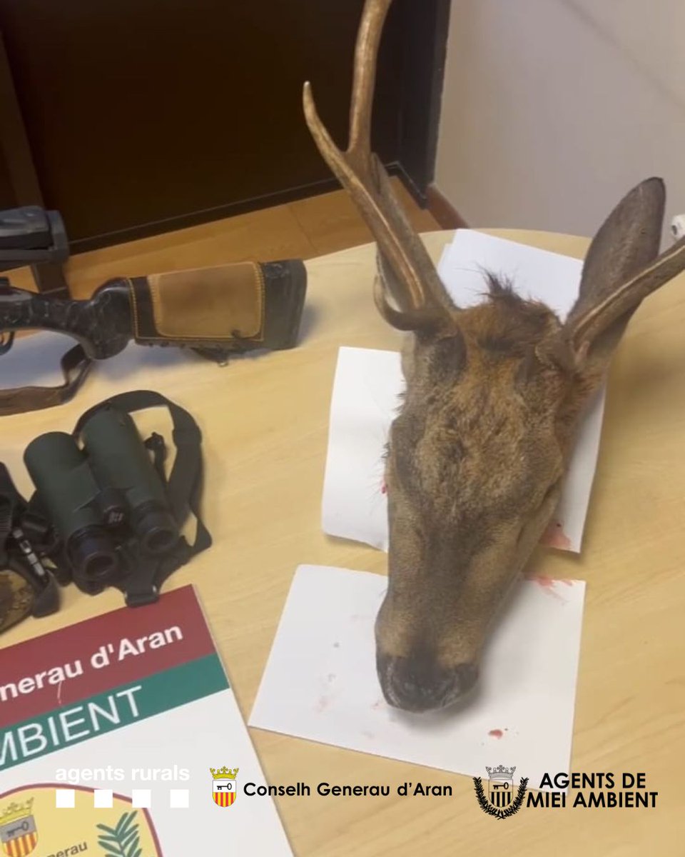 Actuació conjunta del #GEVAcar d'#AgentsRurals i agents de Miei Ambient del Conselh Generau <a href="/conselharan/">Conselh Generau d'Aran</a> contra la caça furtiva organitzada a la Val d’Aran

S'han fet dispositius coordinats que han permès denunciar 6 persones implicades.

Més info👇
ow.ly/t2v650XtwA2