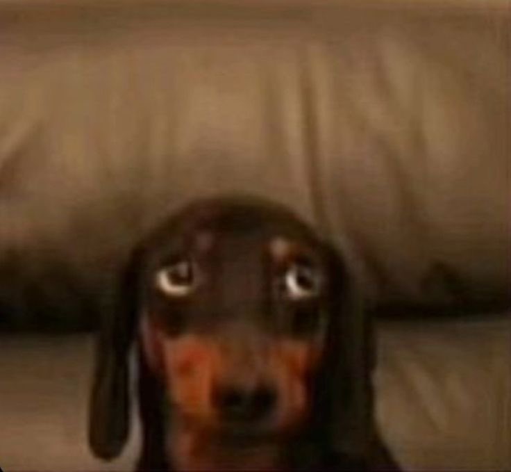 corpsebedo's tweet image. nao sei oque esperar mais