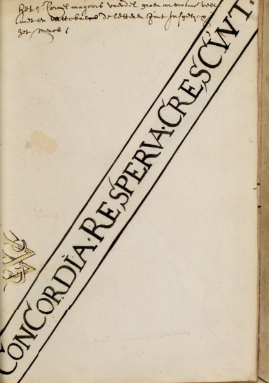 New Netherland Institute tweet media