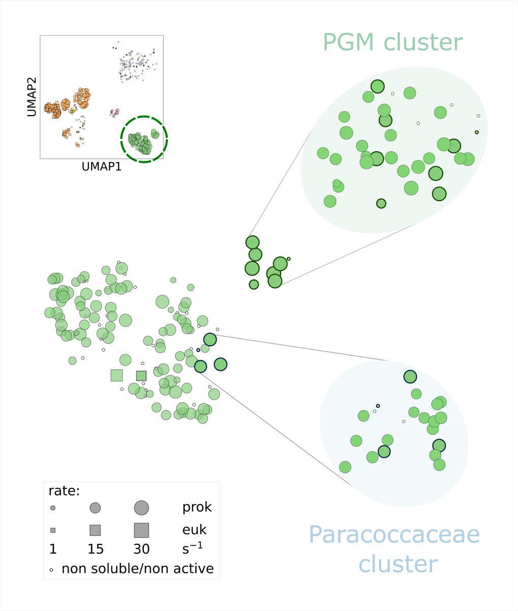 Milo Lab @WIS tweet media