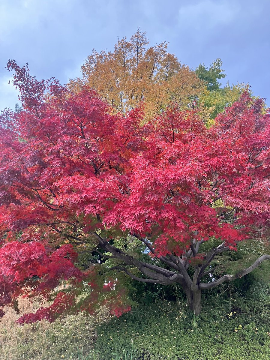 今日めっちゃ綺麗だった