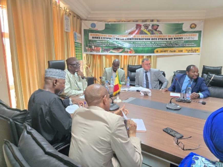 jstm_mali's tweet image. Coopération Mali–Biélorussie : MTZ Holding propose des solutions innovantes pour l’agriculture
MTZ Holding, réputée pour la conception, l’assemblage, la commercialisation et...
#science #agriculture #technologie #InnovationAgricole #cooperation 
scienceetsociete.com/cooperation-ma…