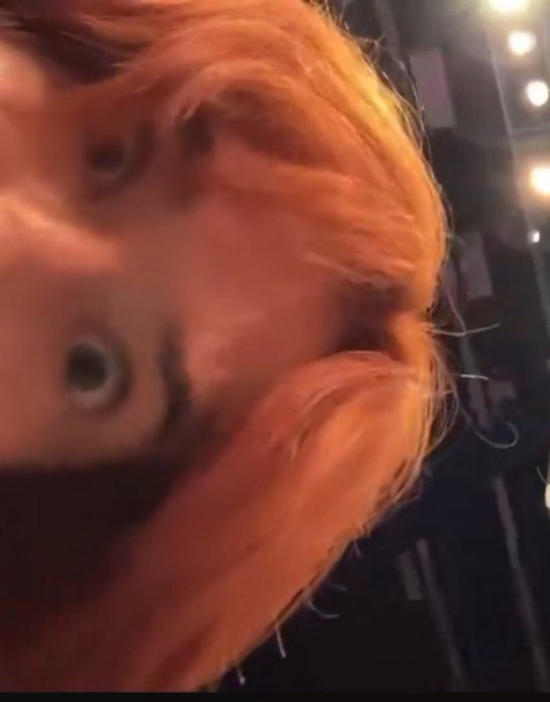 𝒎𝒂𝒊𝒔𝒊𝒆 𑣲 tweet media