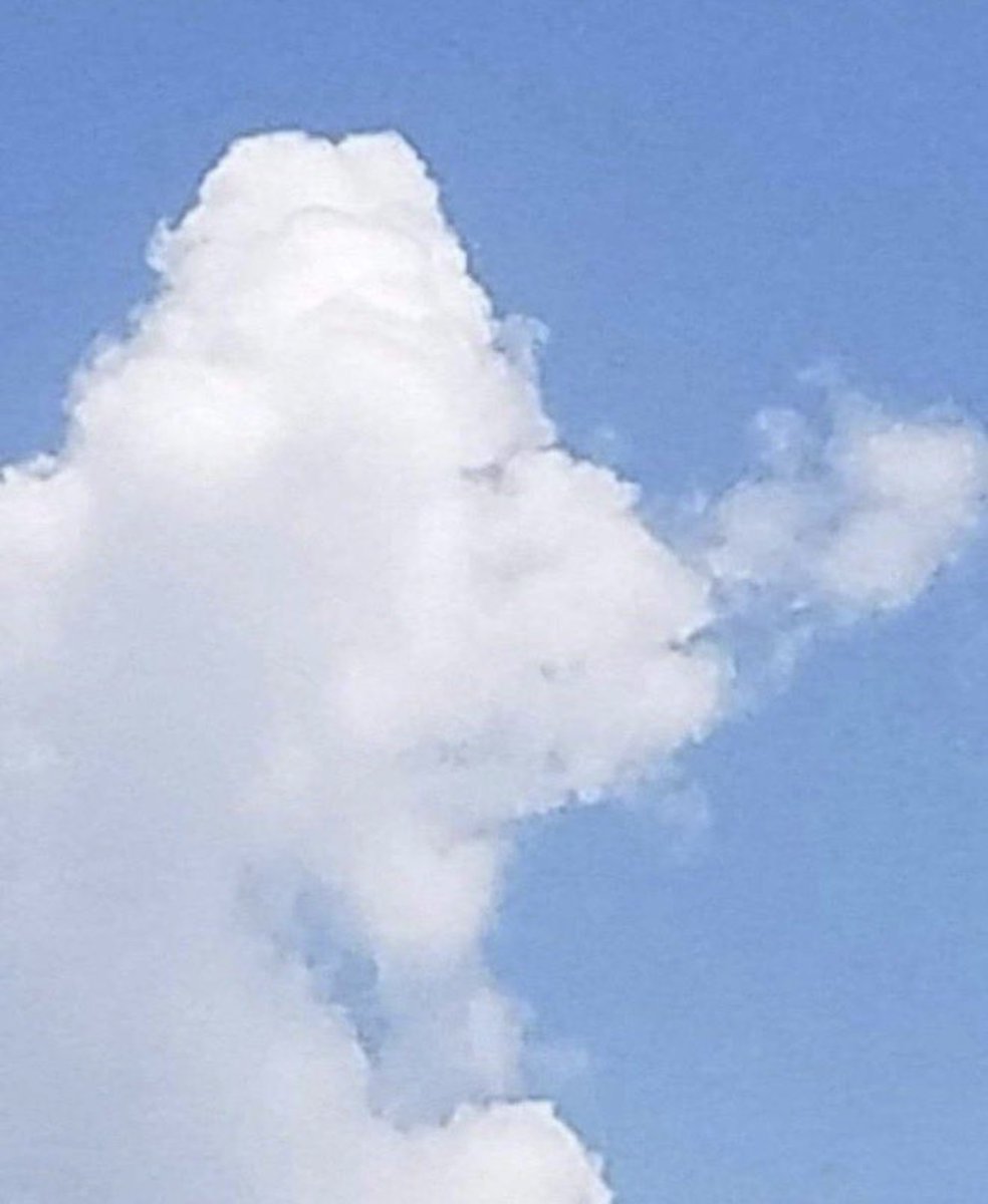 NoContextHumans's tweet image. Apparently, if you can see a fish, you're left-brained, 
and if you can see a plane, you're right-brained. 

What do you see?