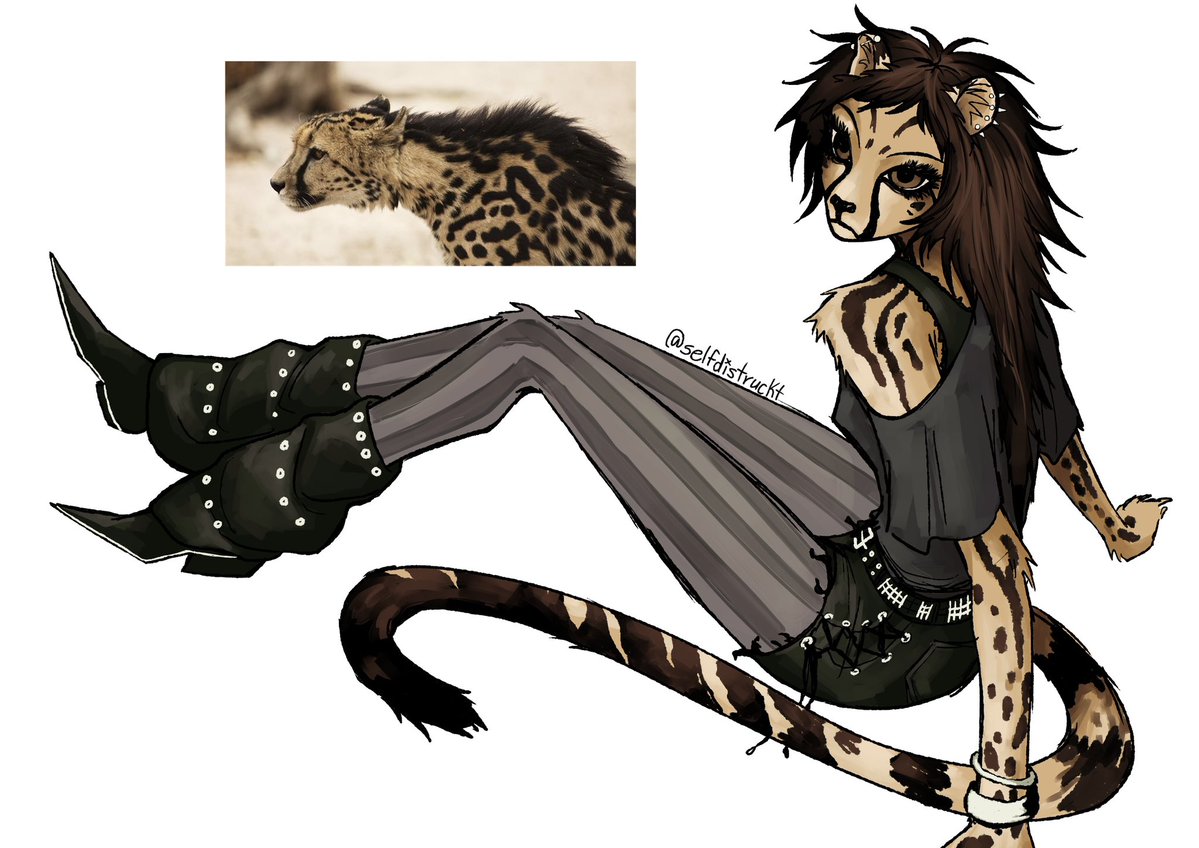 selfdistruckt's tweet image. (oc) king