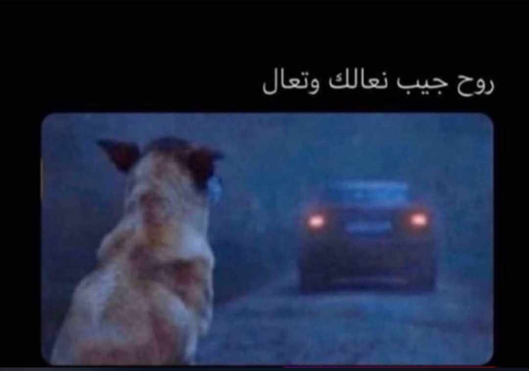 بكسلاوي tweet media