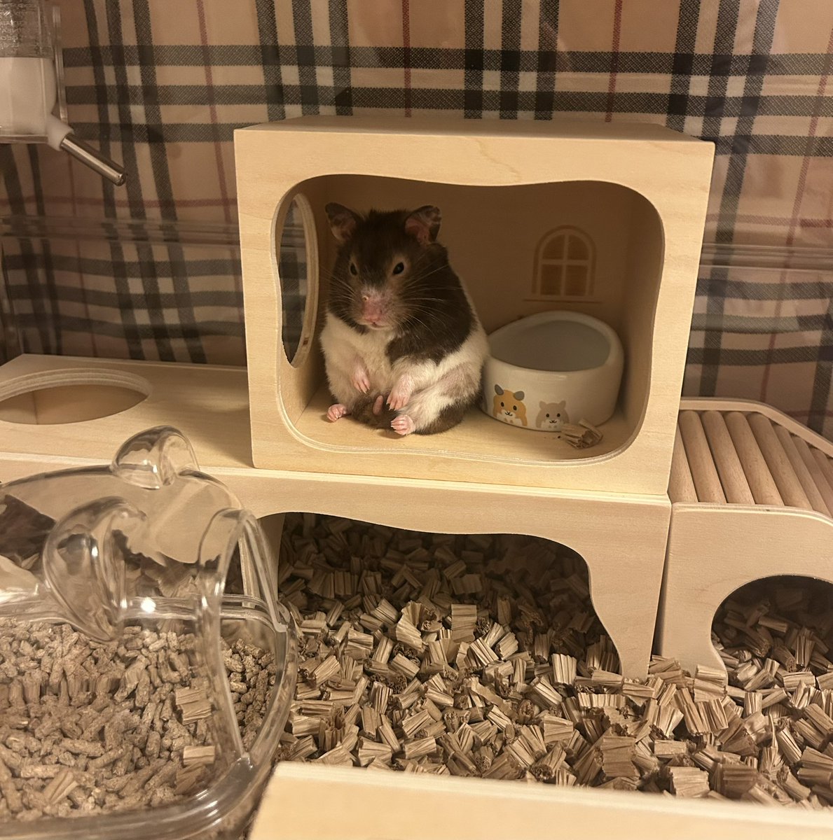 ココʕ•ᴥ•ʔ サマ♡16点 Amazon.com: KICKER Speakers 6X9 & 6.5 inch for Toyota Tacoma 2019