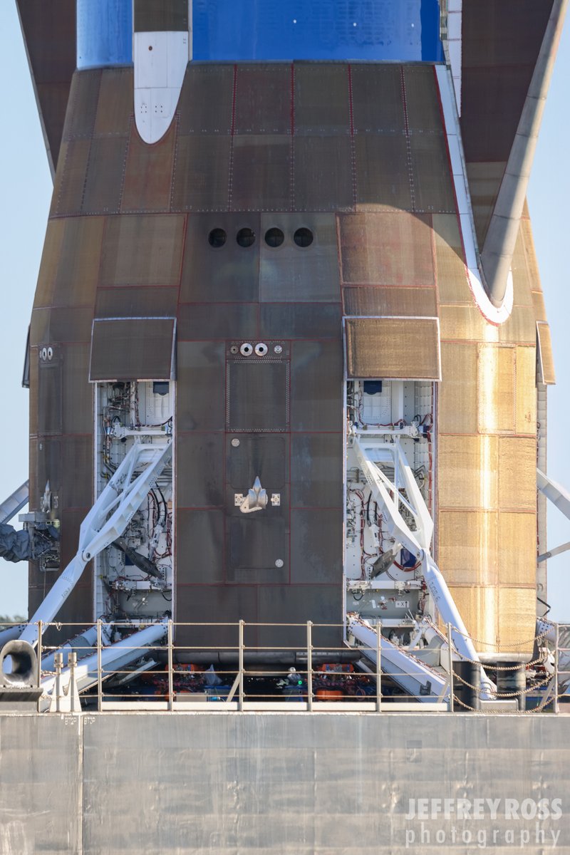 Jeffrey Ross Photo tweet media