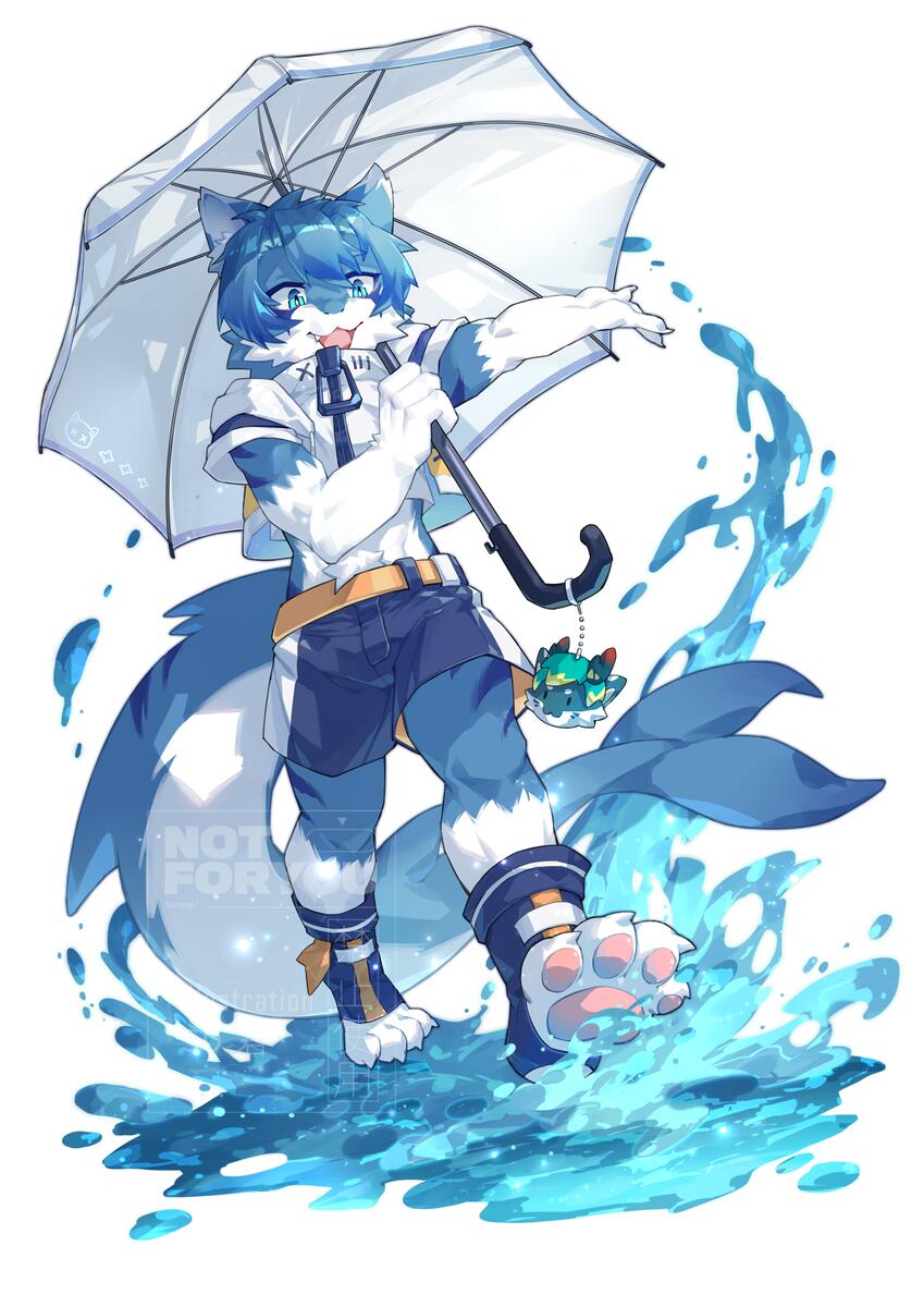 一小方水洼，也能盛下整个海洋的绚烂。

🎨:so君