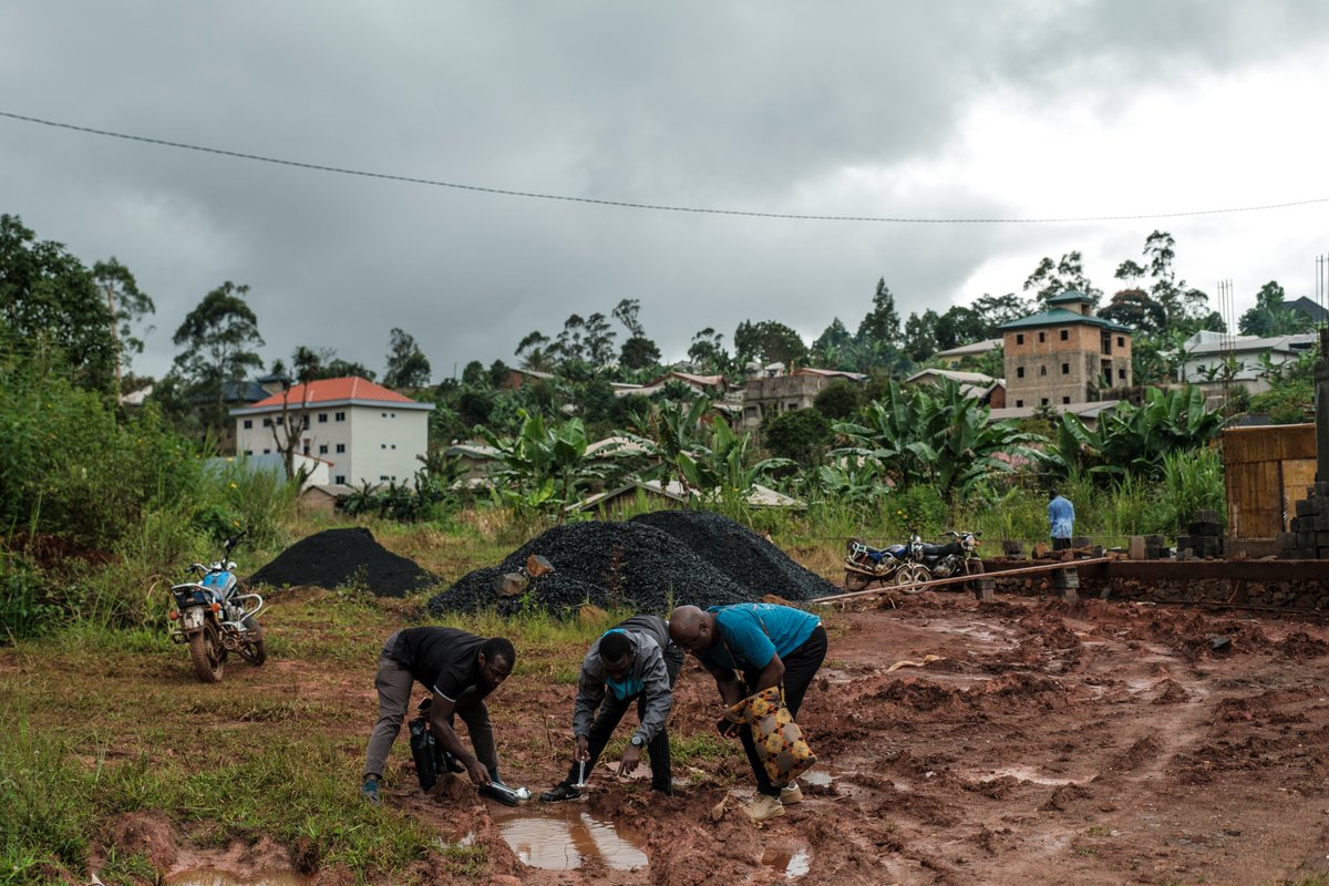 adapt2win.org tweet media