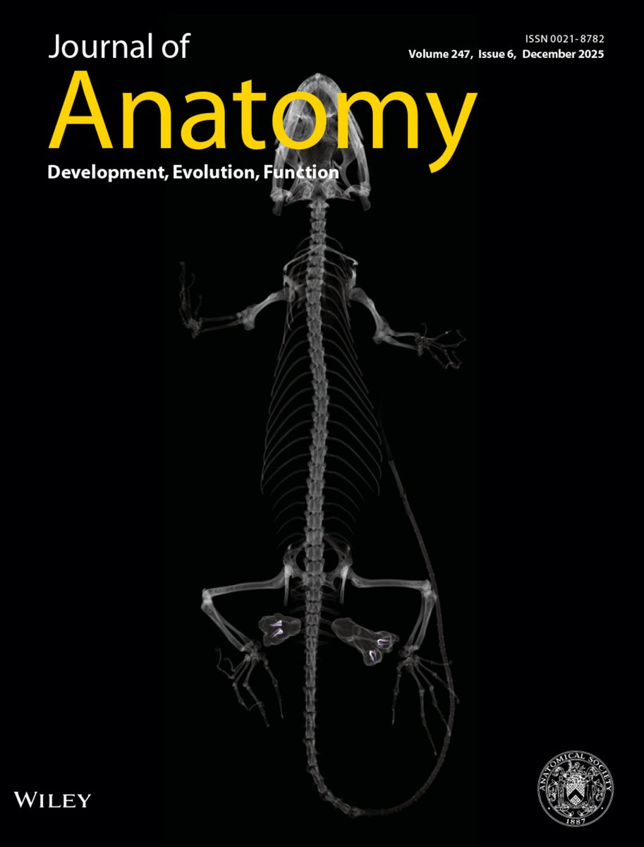 Journal of Anatomy tweet media