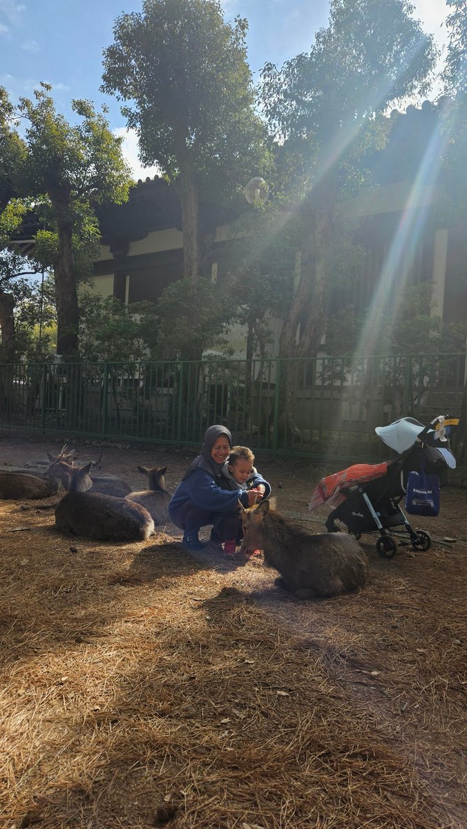 Samsung camera without filter