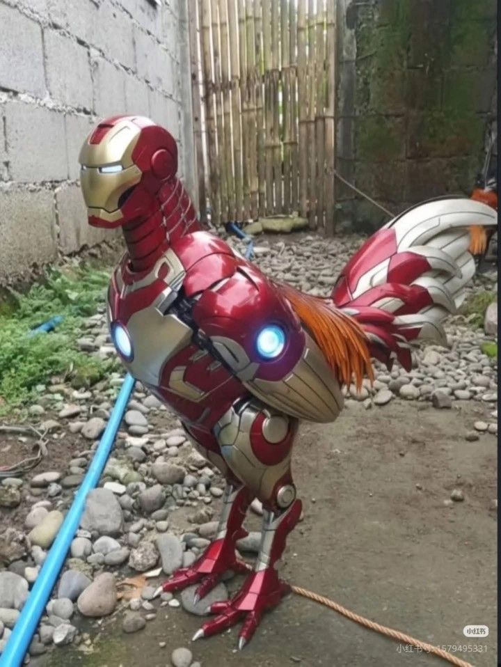 ShivamHere_56's tweet image. Give him a name 🤣