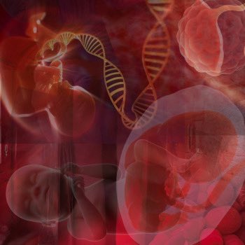 Museum Of Motherhood tweet media