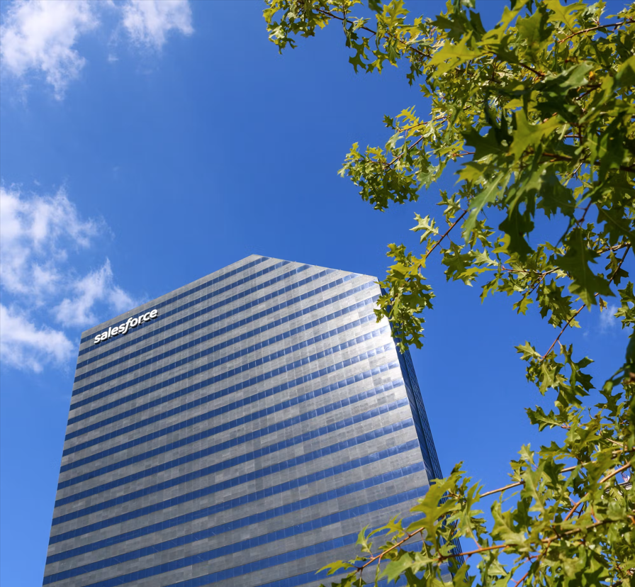 Georgia, USA tweet media