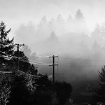 Photo by Grant Huhn (@granthuhn)