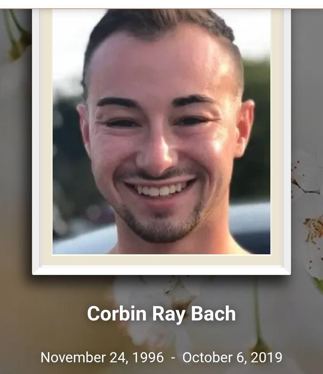 Hazel Appleyard tweet media