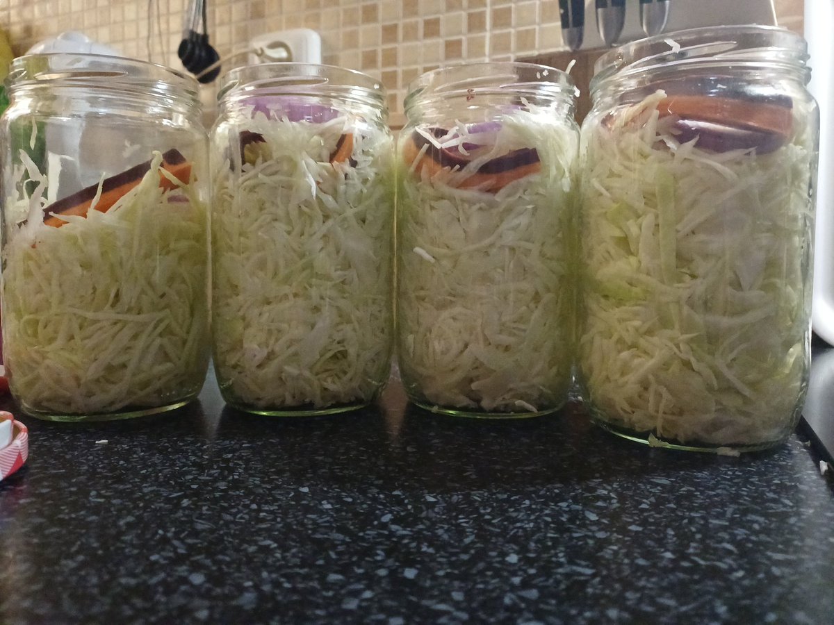 IcaChesshire's tweet image. With each passing year I become progressively more Slavic. Behold, my pickled cabbage. Be amazed! Let out the sigh of wonder! I bet you haven&apos;t seen anything more epic whole day!