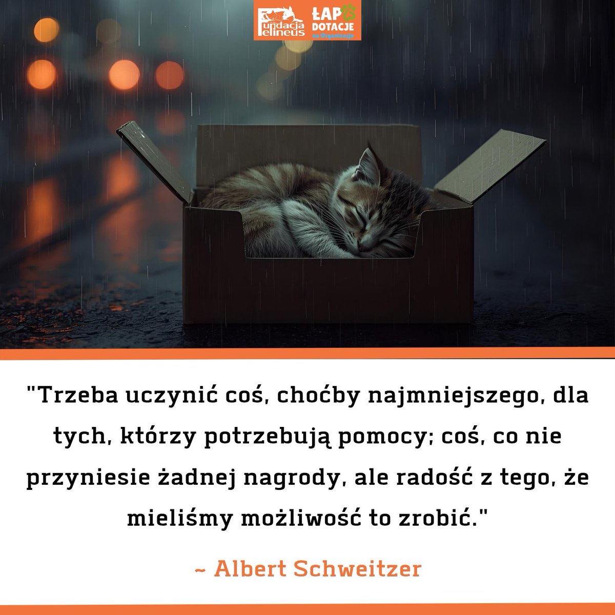 "Trzeba uczynić coś, choćby najmniejszego, dla tych, którzy potrzebują pomocy; coś, co nie przyniesie żadnej nagrody, ale radość z tego, że mieliśmy możliwość to zrobić.” – Albert Schweitzer.

Kochani, właśnie teraz możecie zrobić to coś najmniejszego, co dla naszych