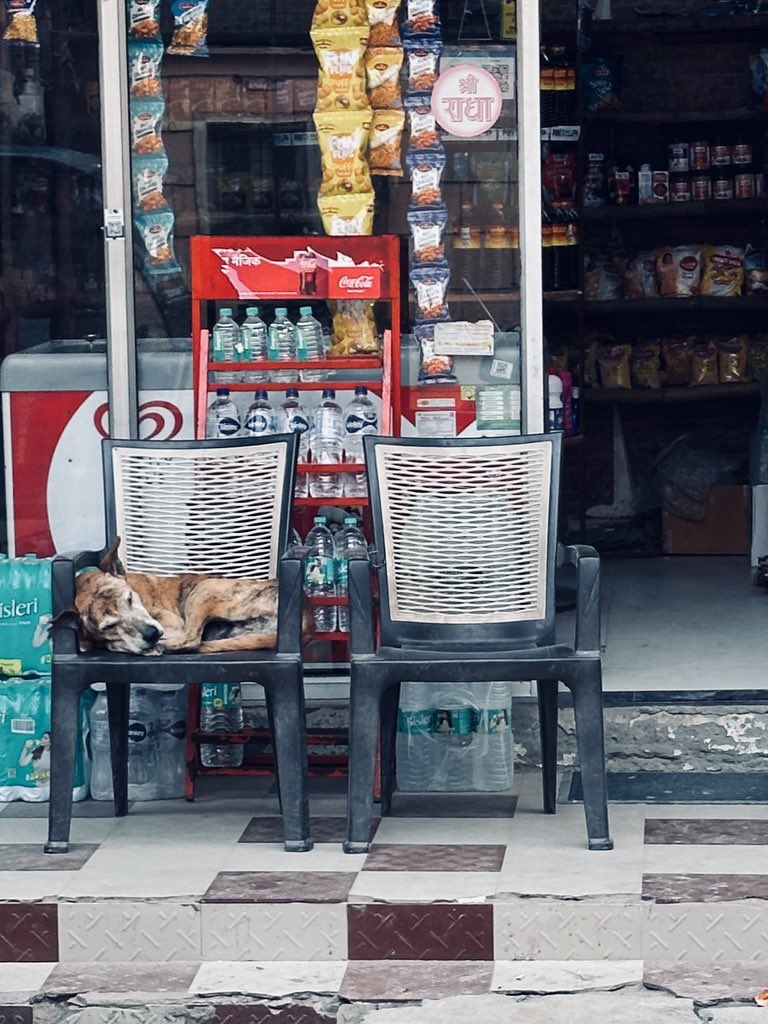 JuliaMaikut's tweet photo. #day321  afternoon nap… #street #challenge #challenge365 #perspective #challengephoto #challengephoto365 https://t.co/26HRPX66bC