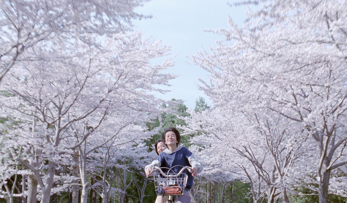 thereitsu's tweet image. Our Little Sister (2015) follows three adult sisters in Kamakura who invite their gentle teenage half-sister Suzu to live with them after their estranged father’s funeral.
Through the changing seasons, the four share meals, make plum wine, cycle under cherry blossoms, and slowly