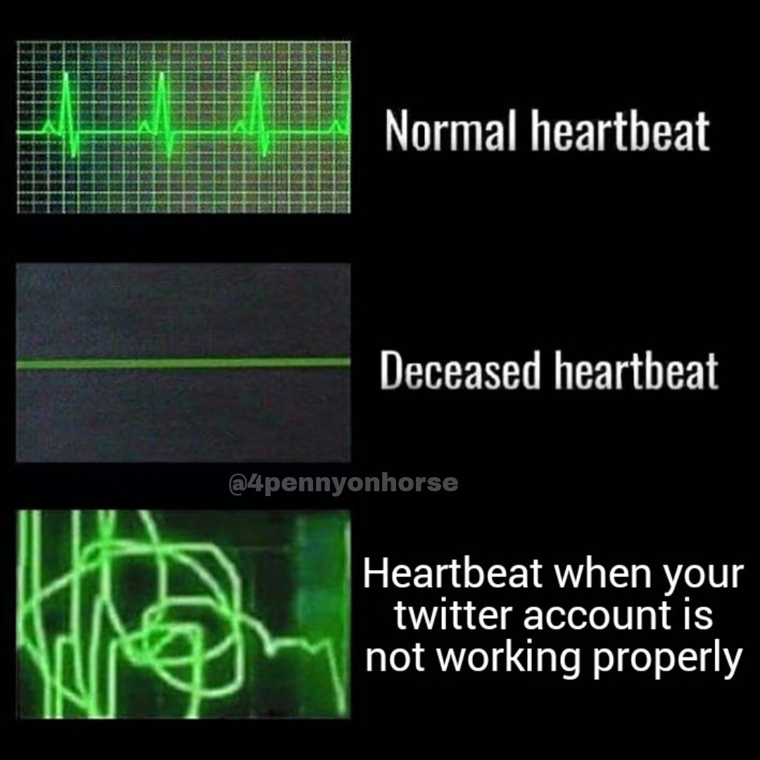 Elon bhai ne abhi marwa diya hota 😭😭😭
#TwitterDown #XDown