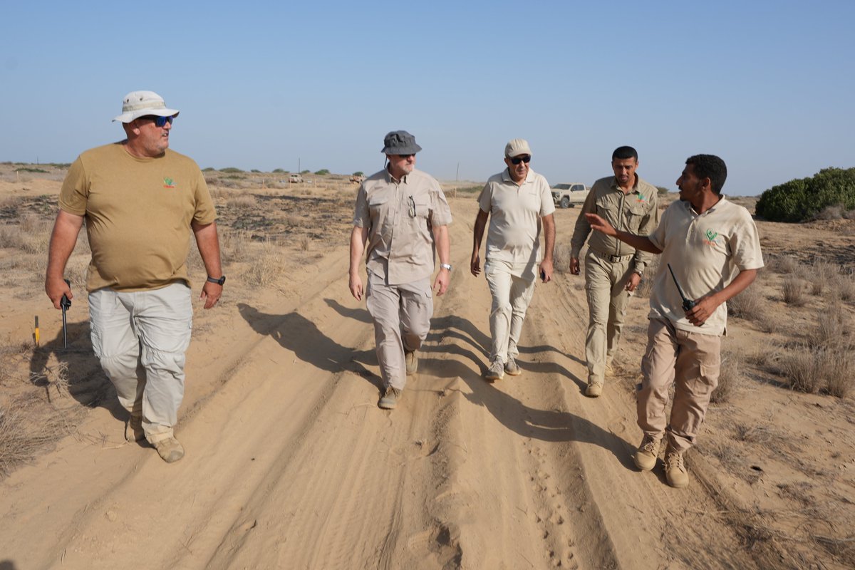 Masam_ENG's tweet image. Project Masam management conducted a routine inspection of our #demining teams in Midi to review progress and ensure work meets international #MineAction standards. Regular field checks are essential for #safety, quality control, and adjusting clearance plans in one of #Yemen’s…