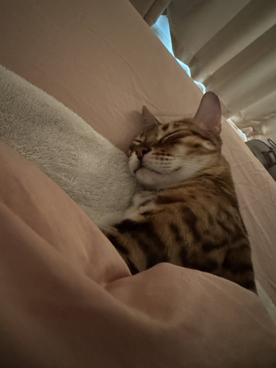 本月港美股已经跌掉了60万了（rmb）
这波调整啥时候结束，是不是到技术性熊市了😅😅

亏得我脑子嗡嗡的不敢看了都，太可怕了。
A股相比起来简直是天使……