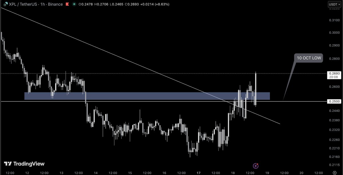 $XPL strong bounce on the 10 oct crash low