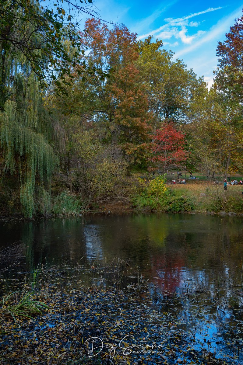 DezSantanaPhoto's tweet image. Autumn Is Calling II 🍁🍃 🍂
#autumn #fallcolors #nyc