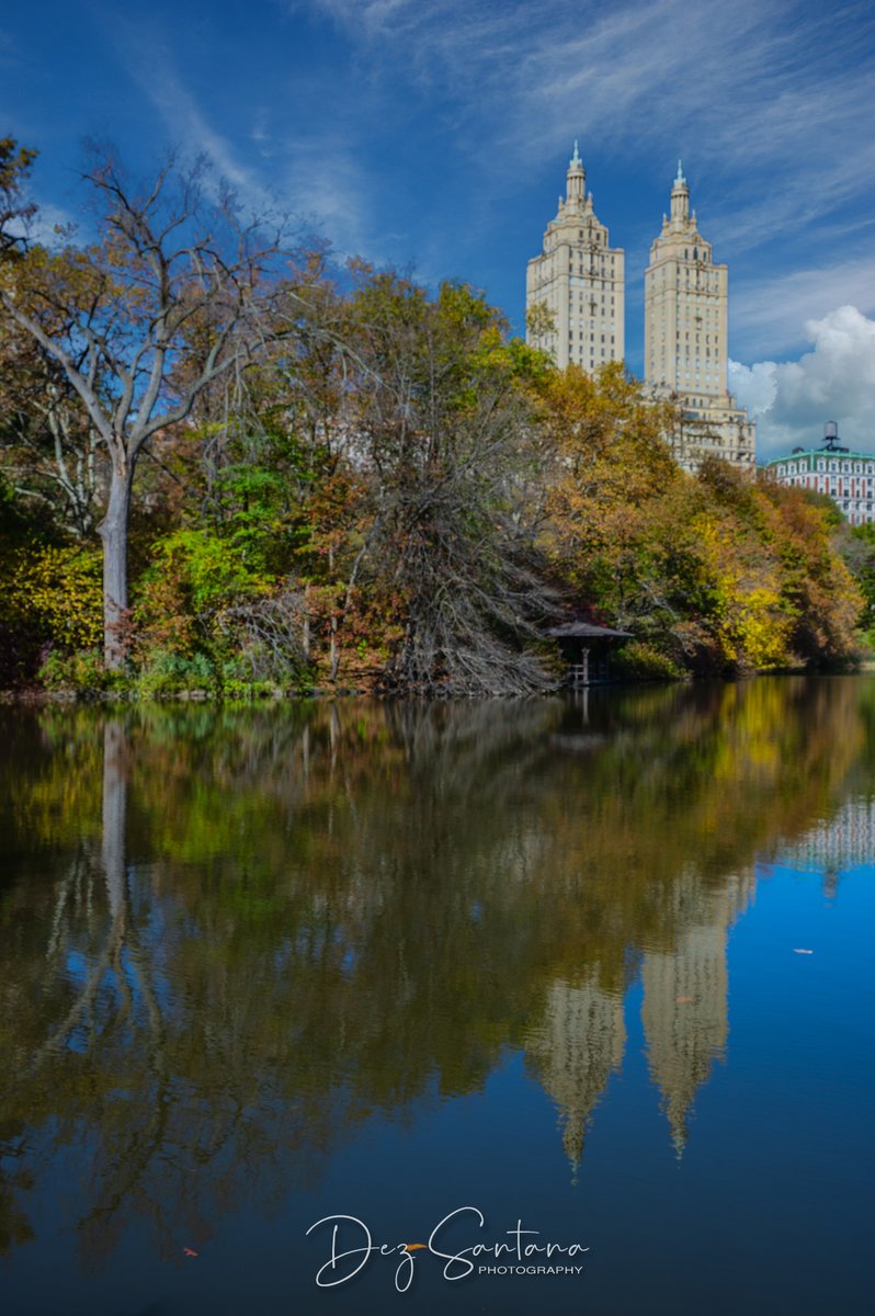 DezSantanaPhoto's tweet image. Autumn Is Calling II 🍁🍃 🍂
#autumn #fallcolors #nyc