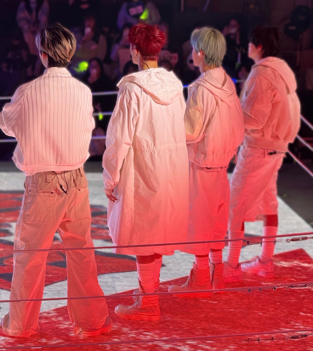 コンプ複数！ 紅白生写真2 愛しのコンゴンズ😚