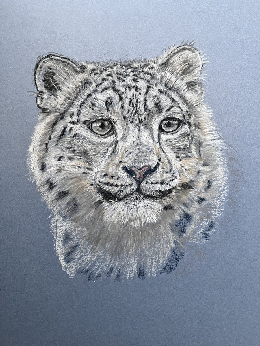 Les Bunyan 📷🍫🐻🦉🦅🏞🇬🇧 tweet media