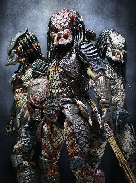 PredlienDB's tweet image. 