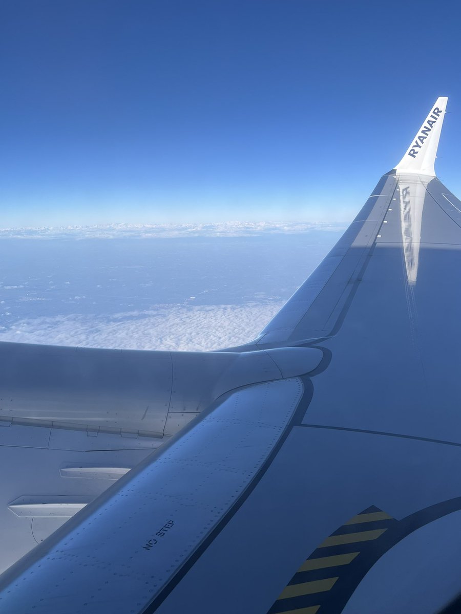 ToughNutToCrack tweet media