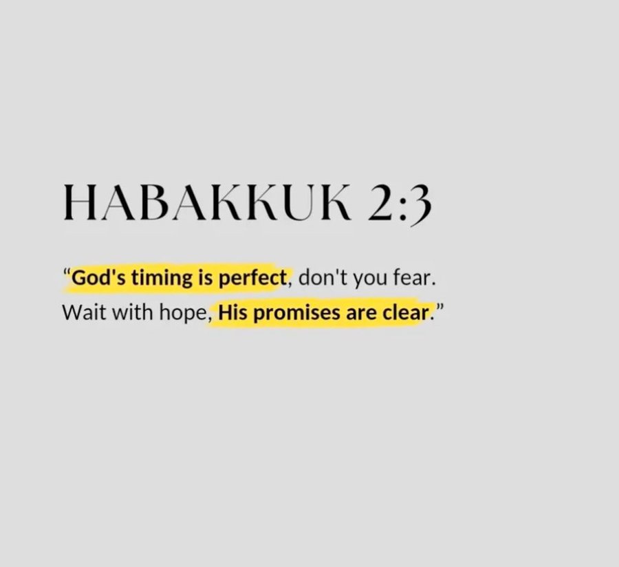 Bible 365 (@bible365_) on Twitter photo 