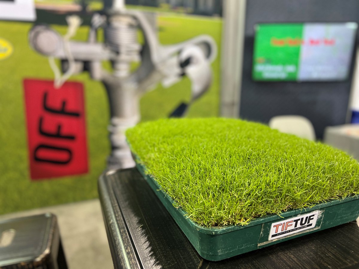 TifTuf is proud to qualify for the USDA BioPreferred® Program. Our turfgrass was tested by a USDA laboratory and the results show #TifTuf is certified 100% biobased content. 
Innovation that grows. 🌾
#SustainableLawn #DroughtTolerant
biopreferred.gov/BioPreferred/f…
