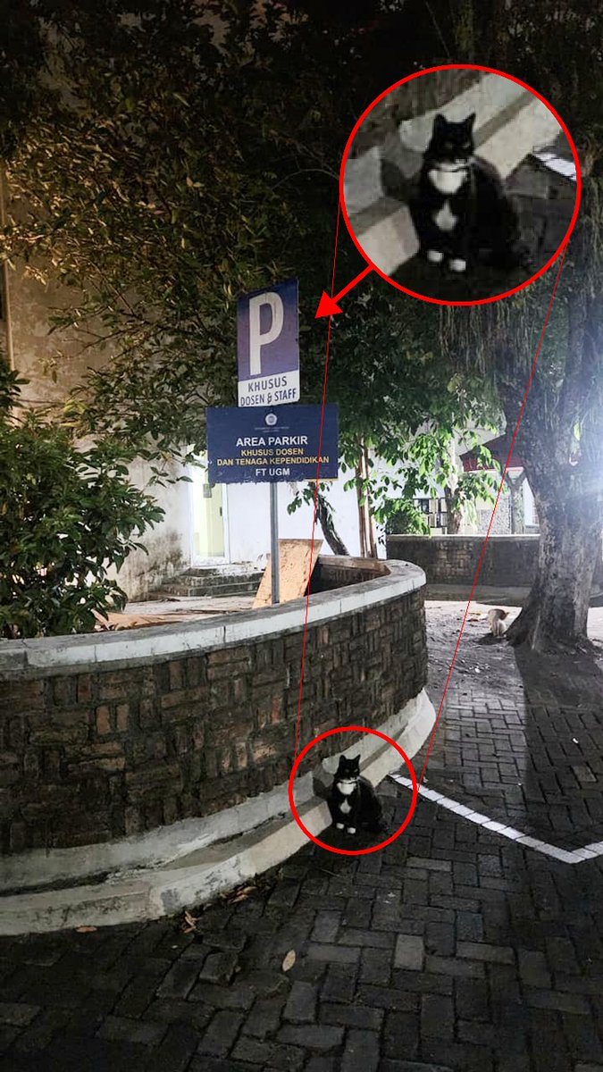 ikan tweet media