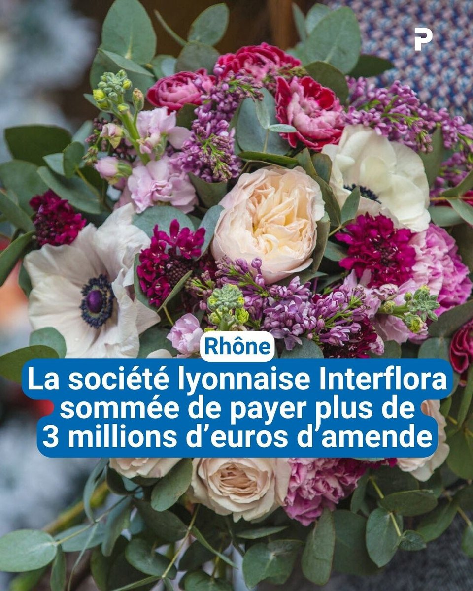 Le_Progres's tweet image. La Direction départementale de la protection des populations a prononcé, ce mardi, une amende de 3,166 millions d’euros à l’encontre d’Interflora.

👉 l.leprogres.fr/YJz
