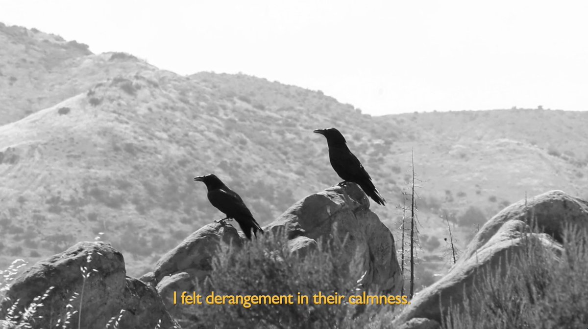 "Le Disque Orange Brillant" is now on Patreon.
A new slice of the Outwaters story.

Patreon = Rainlight Video 📼