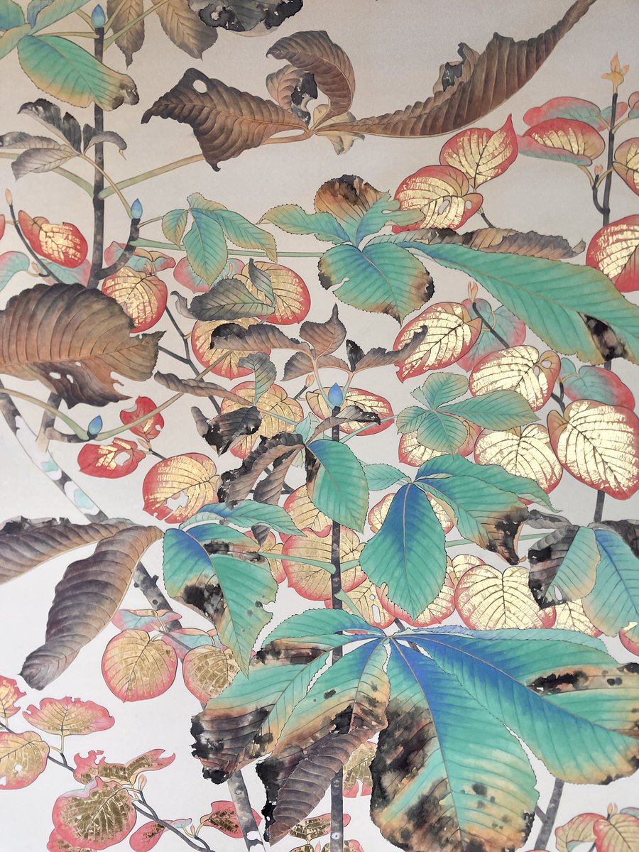 秋の森の植物　トチノキ・ムシカリ