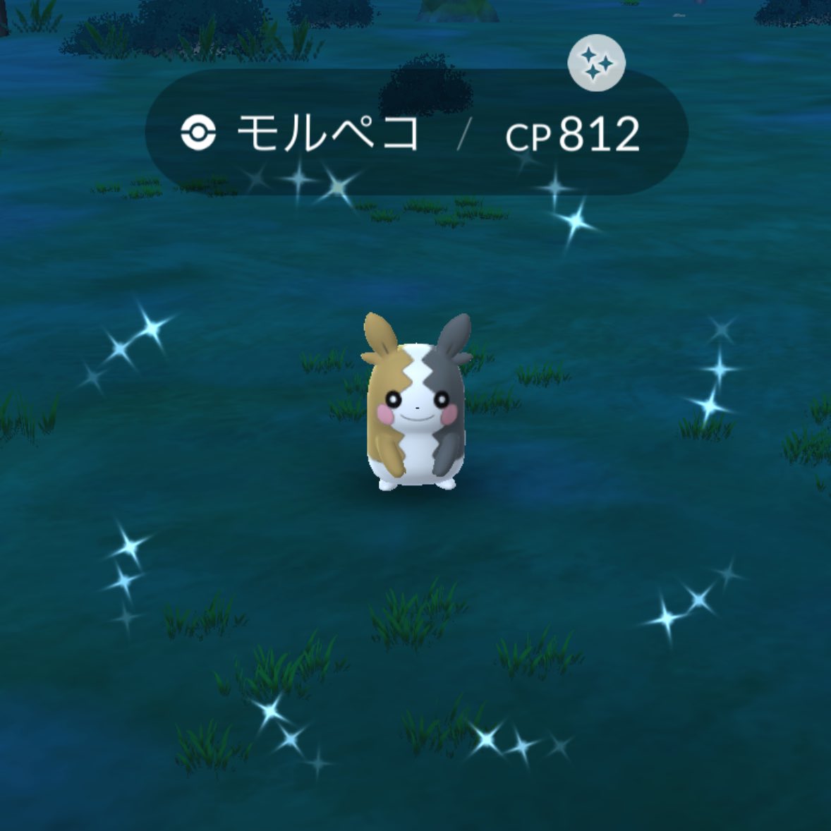 シルバーポート tweet media