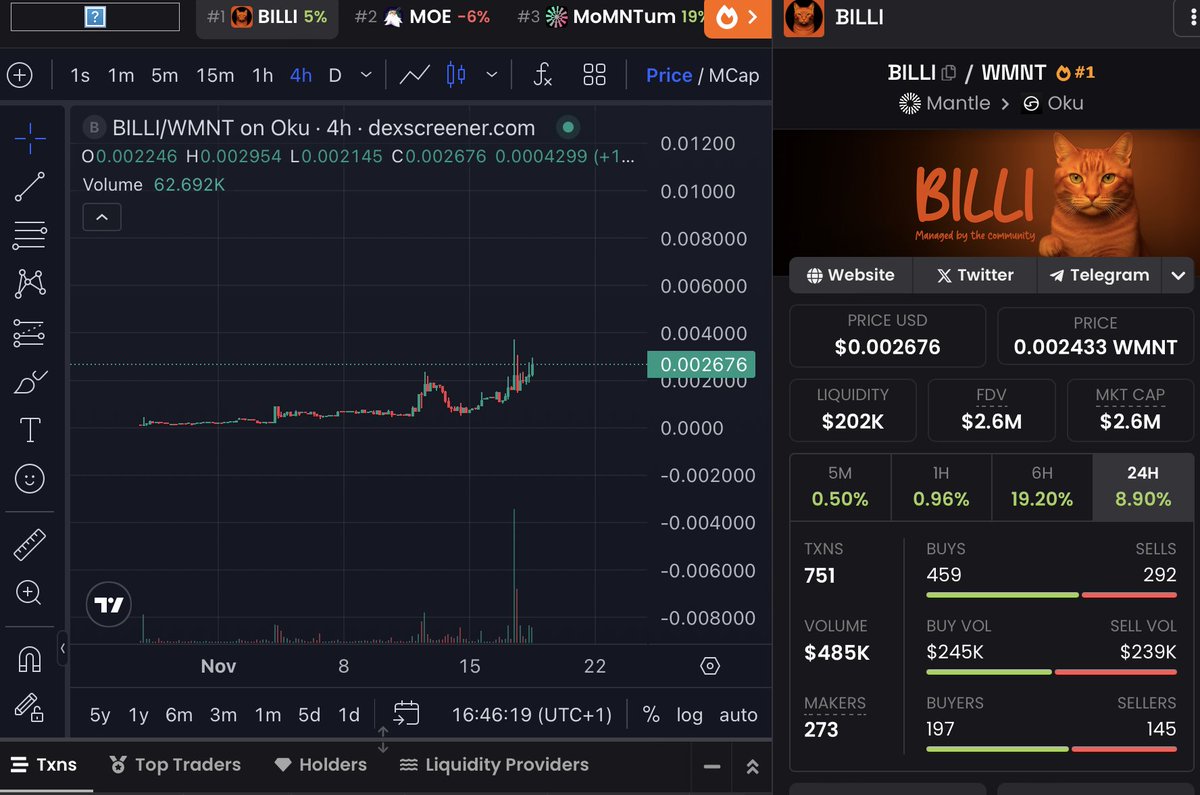 Cryptobarba_'s tweet image. There&apos;s a reason @Bybit_Official pinned their mascotte @BilliOnMantle on their official main page.

I quote from @Bybit_Official :

- Say hello to Billi and get ready to see a lot more of him!   We loved the runner up names too. 

- Who even took the extra step to start bringing…
