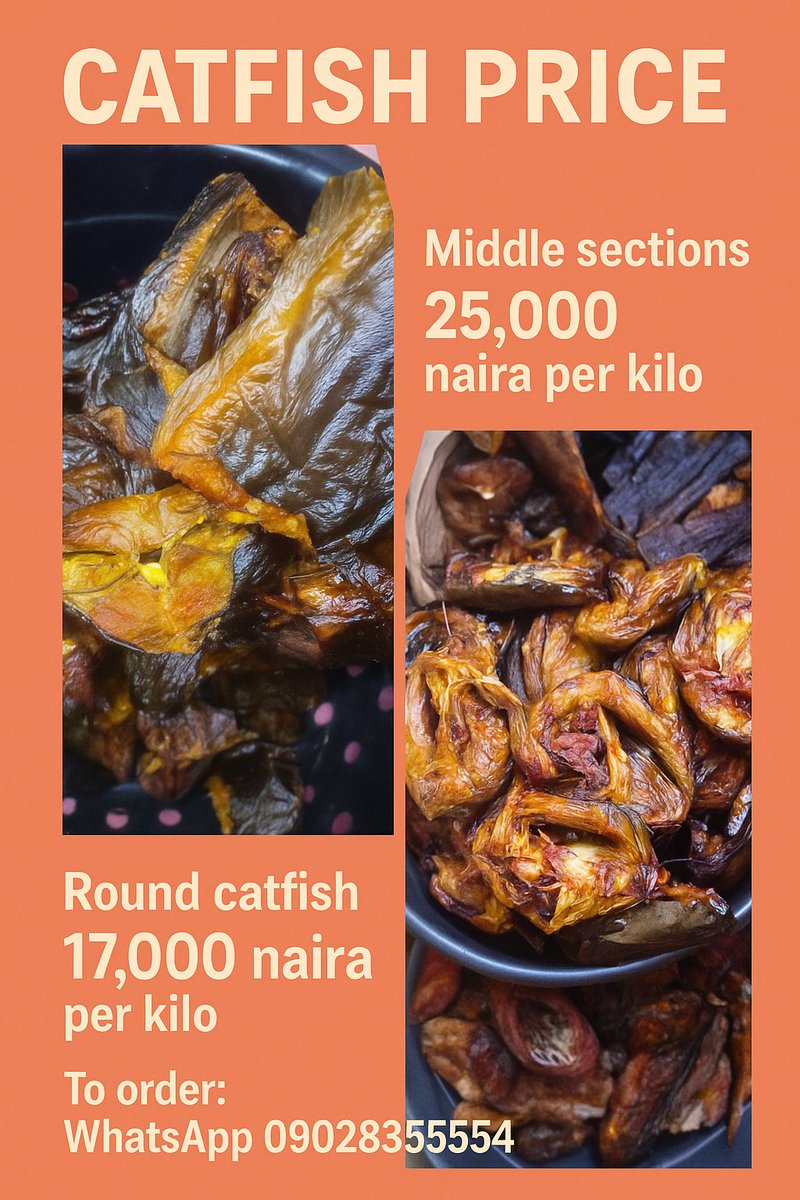 Uzzyokeke's tweet photo. Order affordable neatly dried or fresh fish and snail from @Eniolaolq 
Delivery is worldwide 🌐 https://t.co/5mgI9fRxmY